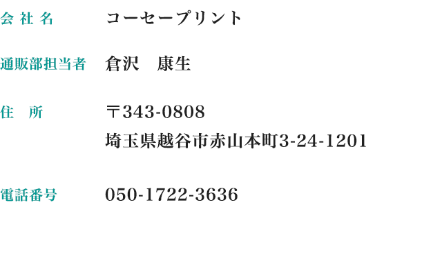 コーセープリント会社概要